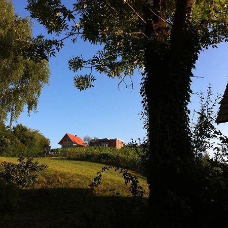 Ferienhaeuser Im Weingarten Fehring Exterior photo