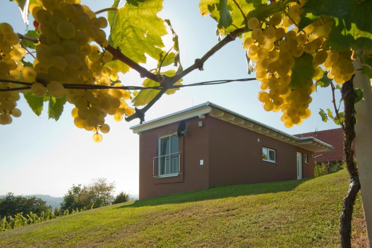 Ferienhaeuser Im Weingarten Fehring Exterior photo